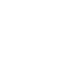 ZANERI LOGO